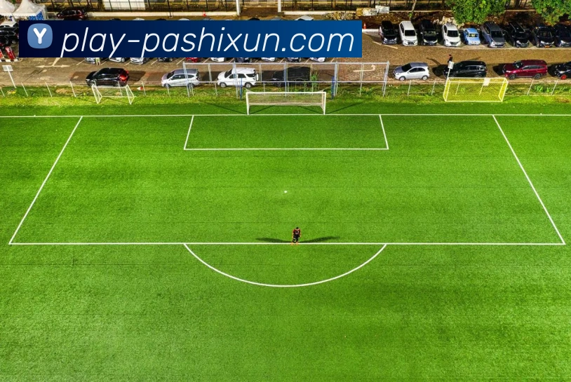 pa视讯发展历程